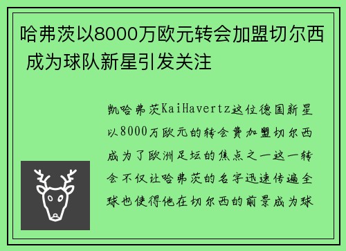 哈弗茨以8000万欧元转会加盟切尔西 成为球队新星引发关注