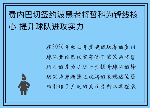 费内巴切签约波黑老将哲科为锋线核心 提升球队进攻实力 费内巴切签约波黑老将哲科为锋线核心 提升球队进攻实力